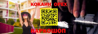 гашик Кулебаки