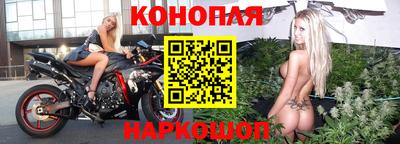 сатива Кунгур