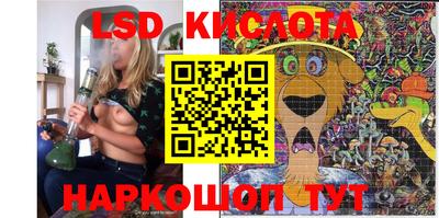 гашик Кулебаки
