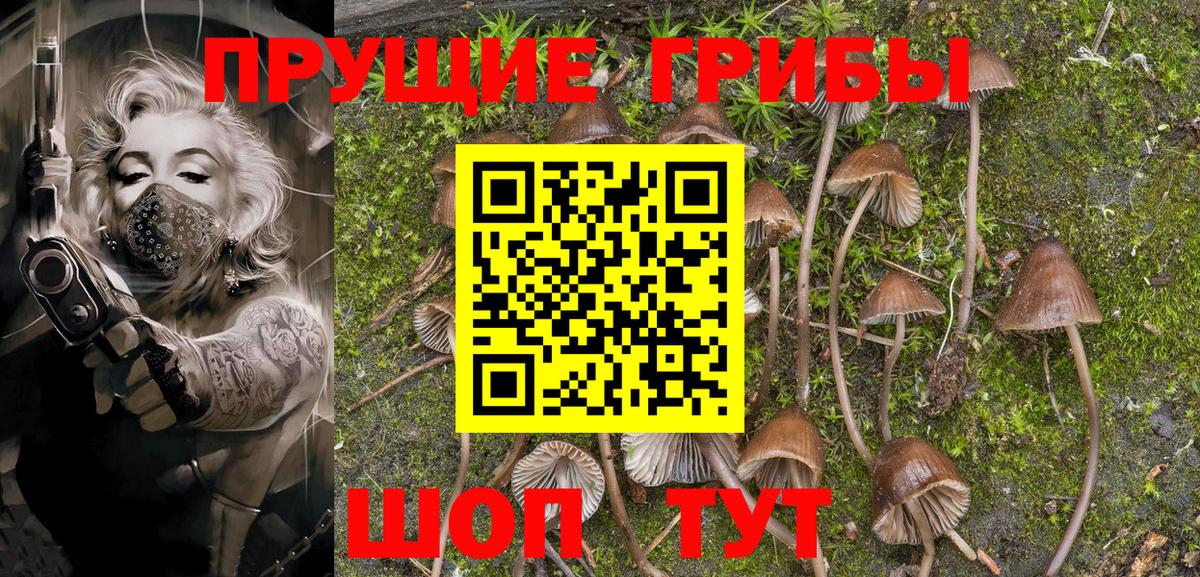 Галлюциногенные грибы Psilocybine cubensis  Псилоцибиновые грибы Psilocybine cubensis  купить наркоту  Азов  Вход с VPN 
