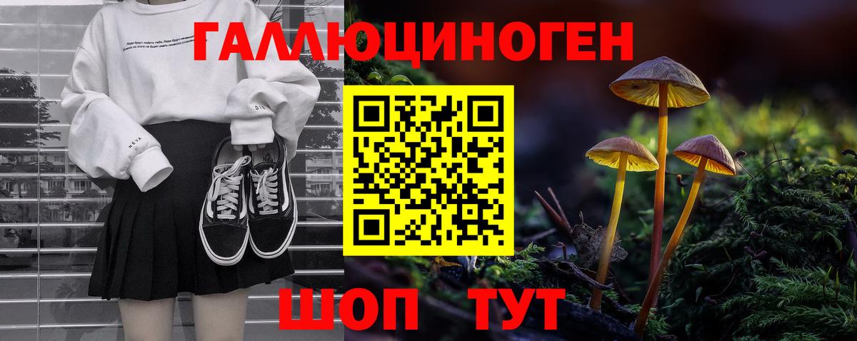 Галлюциногенные грибы Cubensis Азов